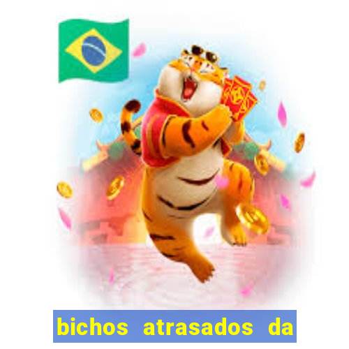 bichos atrasados da loteria federal